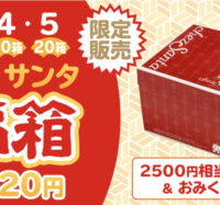 しあわせを詰め込んだ2020年福箱の販売