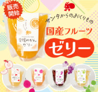 国産フルーツゼリー販売スタート