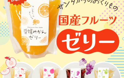 国産フルーツゼリー販売スタート