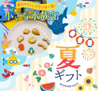 【夏限定】小さな水族缶が今年も登場！