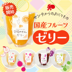 国産フルーツゼリー販売スタート
