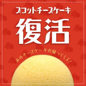 ズコットチーズケーキ復活いたします。